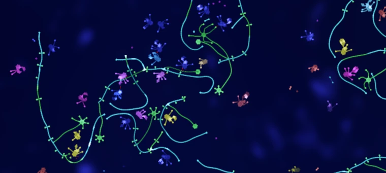 Small creatures in many colors between long cyan and green strands